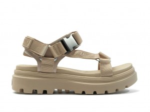 Beige Brown Women Palladium Pallacruise Strap Sandals | BLVCMF-176